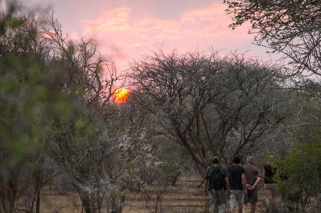 Klaserie River Safari Lodge Hoedspruit Exteriör bild