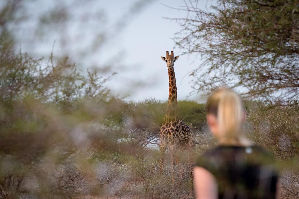 Klaserie River Safari Lodge Hoedspruit Exteriör bild